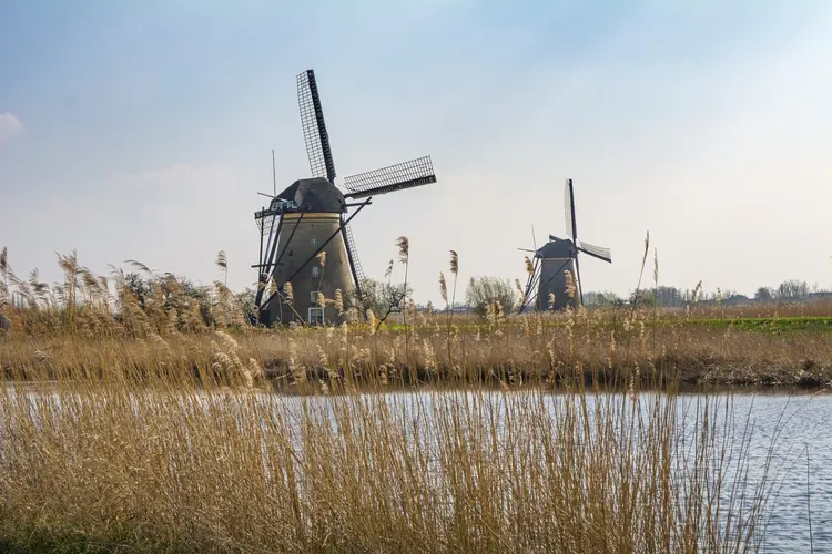 Stem ook op poldermolen Nieuw Leven in Wogmeer