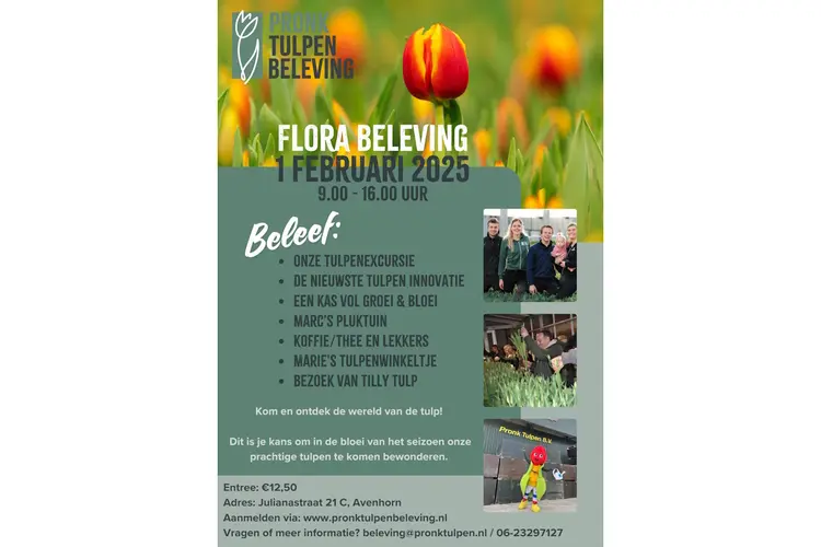 Alternatief voor de tulpenshow Westerkogge Flora: een unieke ervaring voor tulpenliefhebbers