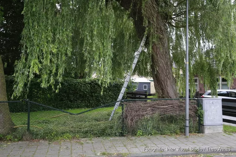 Man valt ruim 10 meter naar beneden tijdens snoeien van boom