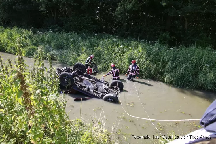 Auto met drie honden te water in Avenhorn