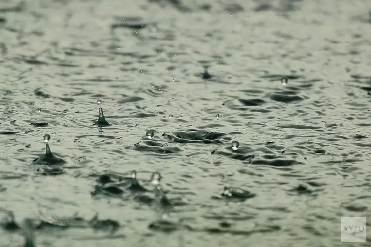 In Berkhout viel deze herfst de meeste regen van heel het land