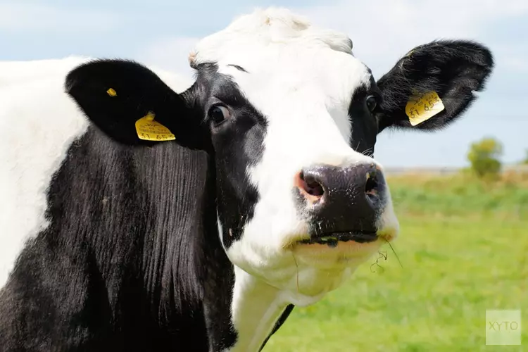 ‘Koggenland moet landelijk en groen blijven’