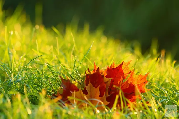 Meteorologische herfst start met rustig nazomerweer